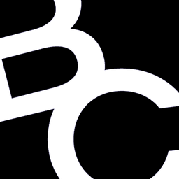 BAZARCHIC : Ventes privées icon