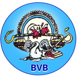 Bharti Vidhya Bhawan Banswara icon