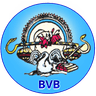 Bharti Vidhya Bhawan Banswara simgesi