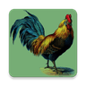 Rooster Sounds icon