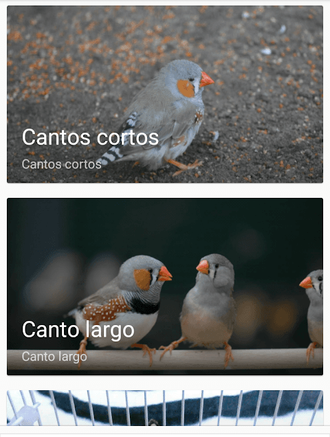 Canto Diamante Mandarin screenshot 4