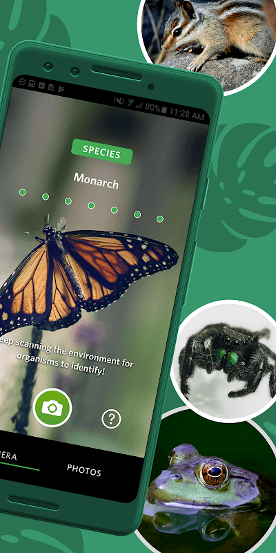 Seek by iNaturalist screenshot 2