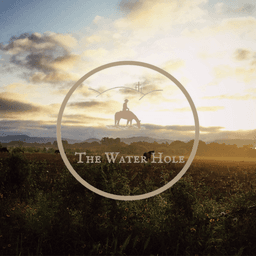 The Water Hole icon