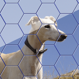 Dog Hexa Puzzle icon