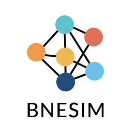 BNESIM: eSIM, Voice, Room, VPN icon