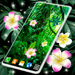 Jungle Live Wallpaper 🌴 Palm Forest Themes icon