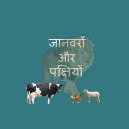 Hindi Animals and Birds - Quiz icon