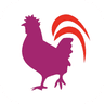 Ideal Chicken icon