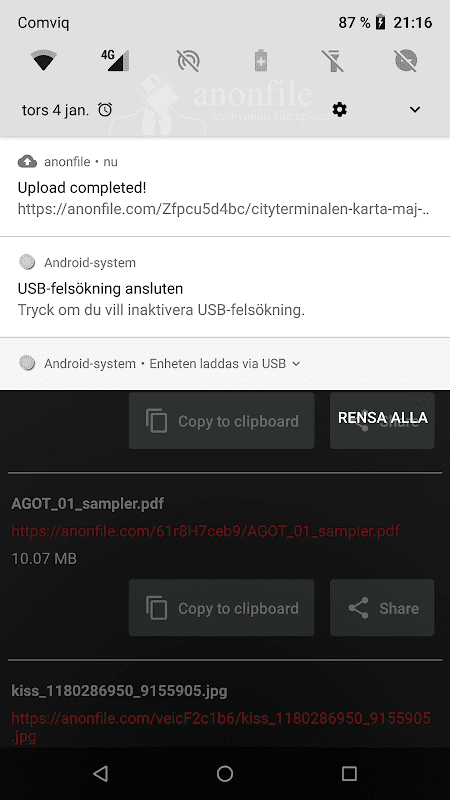 Anonfile screenshot 4