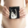 Icono de Ultrasound guide for pregnant mothers