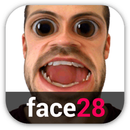 Face Changer Video icon