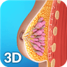 Breast Anatomy icon
