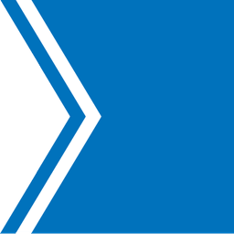 Toronto Star icon