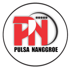 pulsananggroe icon