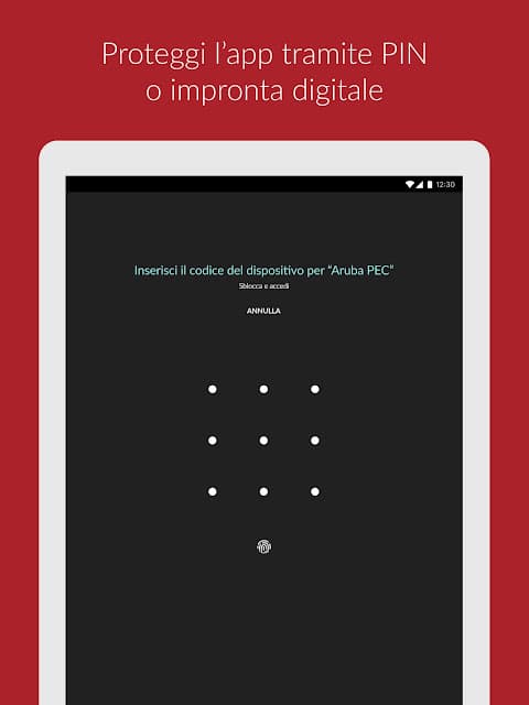 Aruba PEC screenshot 6