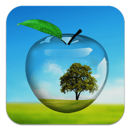 PiP camera. Picture in picture collage maker icon