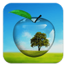 PiP camera. Picture in picture collage maker icon