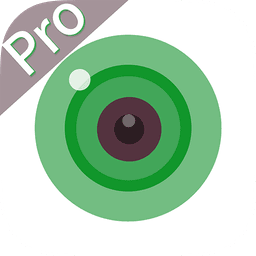 iCSee Pro icon