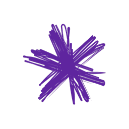 Spark NZ icon