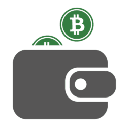 Coin Bitcoin Wallet icon
