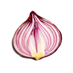 Onion Search Engine icon