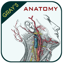 Gray's Anatomy - Anatomy Atlas icon