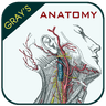 Gray's Anatomy - Anatomy Atlas icon