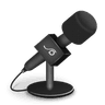 Microphone icon