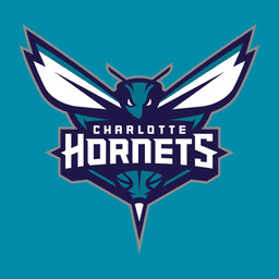 Charlotte Hornets icon