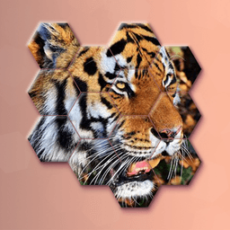Animal Hexa Puzzle icon