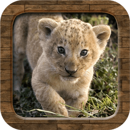 Animal Sounds icon