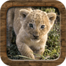Animal Sounds icon