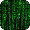 Matrix Live Wallpaper icon