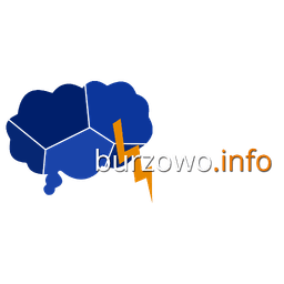 Burzowo.info - Lightning map icon