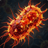 Ikon Bacteria: Types, Infections