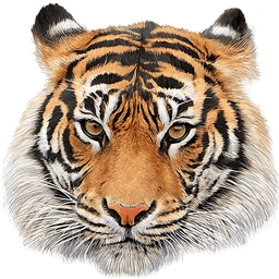 Animal Sounds icon