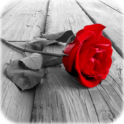 Photo Art - Color Effects icon