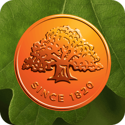 Swedbank Latvia icon