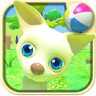 Talking Dog Chihuahua icon