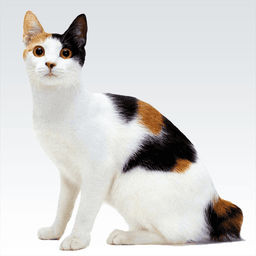 Animal sounds icon