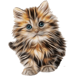 Cat breeds - Photos icon