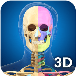 Skeleton Anatomy Pro. icon