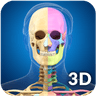 Skeleton Anatomy Pro. icon