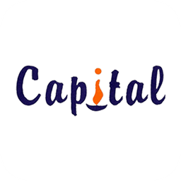 Capital Investment icon