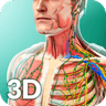 Symbol von Human Anatomy