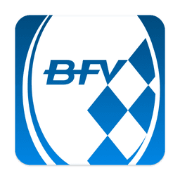 BFV icon