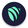 ArgoVPN icon
