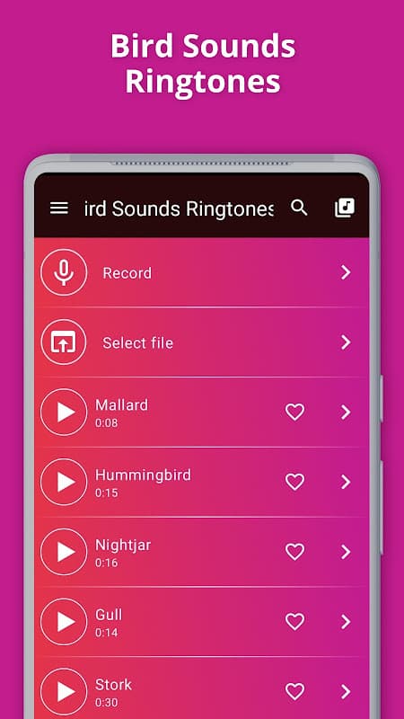 Vogelstimmen Klingeltöne screenshot 1