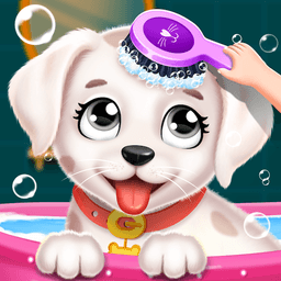 Labrador Puppy Spa Daycare icon