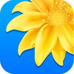 Gallery icon
